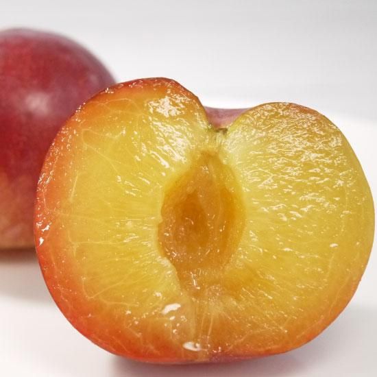 冷蔵）青森県産サマーエンジェル(すもも・プラム)約4kg～5kg - 村井青果