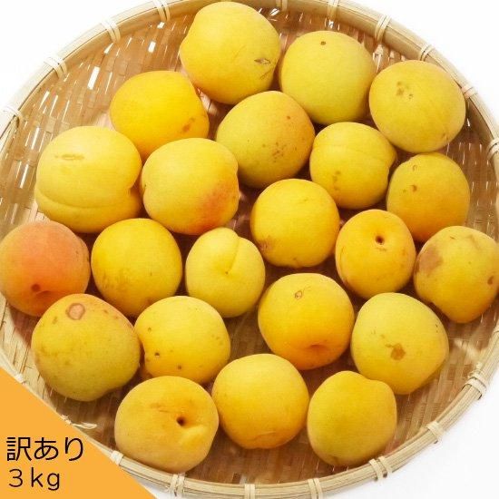 豊後梅 15kg 完熟梅 訳あり 青森の梅（豊後梅）うめ ウメ 訳あり