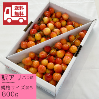 ¢ˤܡꡦХ͡ ƣ 800g̵ʰϰˡ