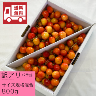 ¢ˤܡꡦХ͡ Ƚ 800g̵ʰϰˡ