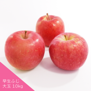 Ŀ󤴡դ[]10kg(2636)1ָ