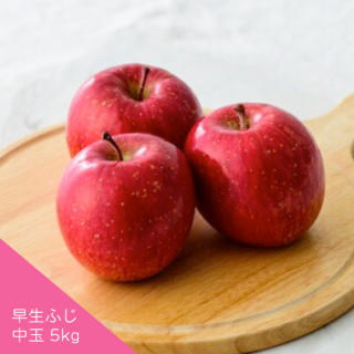 Ŀ󤴡դ[]5kg(1820)1ָ