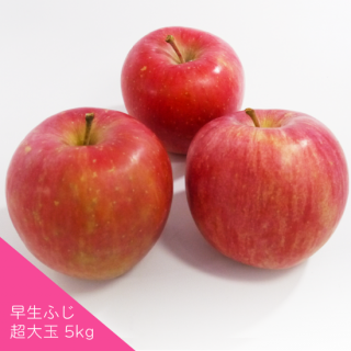 Ŀ󤴡դ[Ķ]5kg1012̡ˢ1ָ