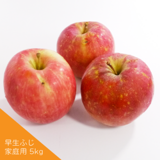 Ŀ󤴡դڲѡ10kg (2636)1ָ