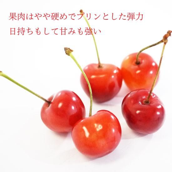 青森県産さくらんぼ[バラ詰]紅秀峰 L