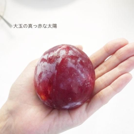 青森県産のプラム