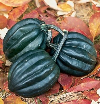 108657553.jpg?cmsp_timestamp=