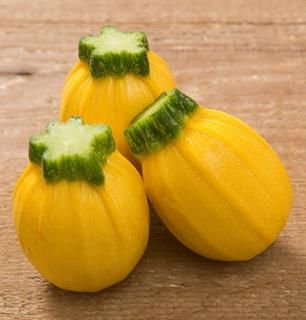 ズッキーニ SERGIO TACCHINI レディース 通販 SERGIO TACCHINI セルジオ