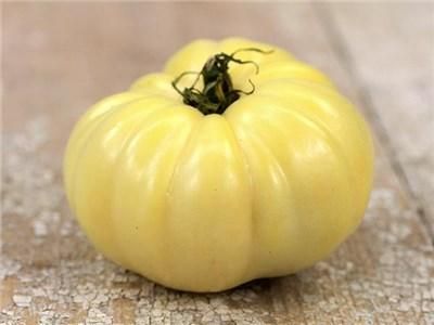 ホワイトワンダートマトの種 - マルシェ青空