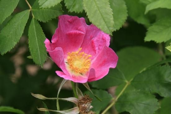 121327579.jpg?cmsp_timestamp=