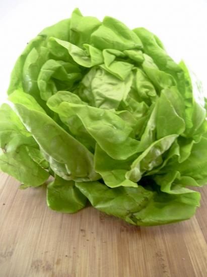 ビッブレタスの種 - マルシェ青空