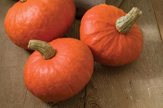 サンシャインかぼちゃの種 *F1 - マルシェ青空