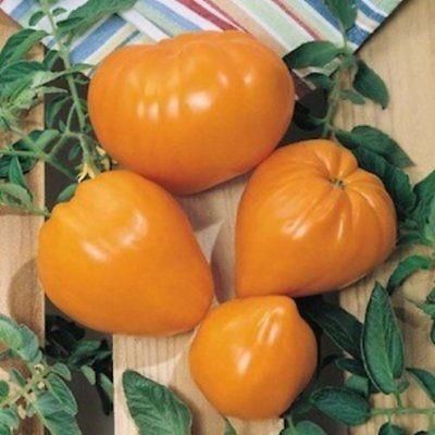 オレンジオックスハートトマトの種 - マルシェ青空