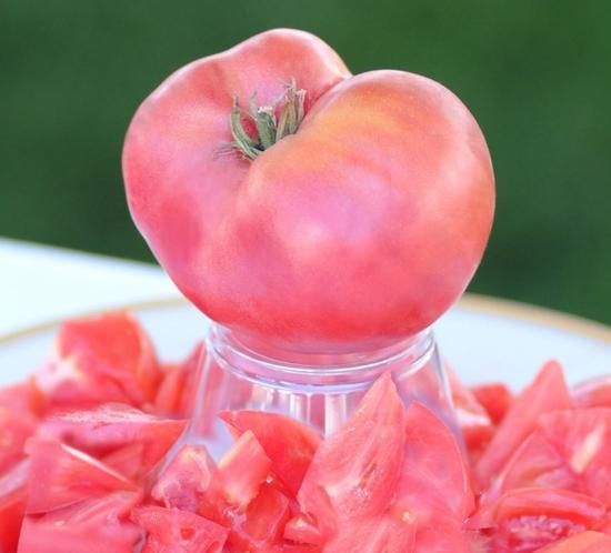 トマト ピンクロシアン117トマトの種 - マルシェ青空