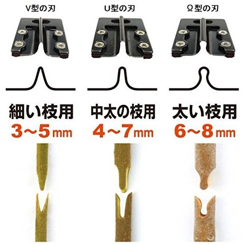 オーダーページ すがすがしい 柿 果樹の枝各種、接ぎ穂(穂木)