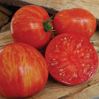 レッドフューリーボアートマトの種