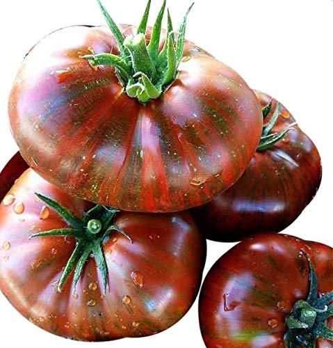 チョコレートストライプトマトの種 - マルシェ青空