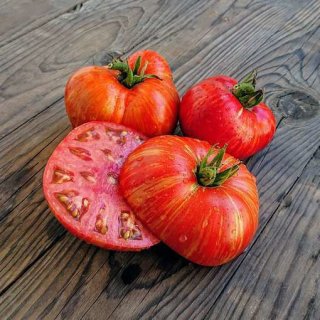 ドワーフビューティーキングトマトの種