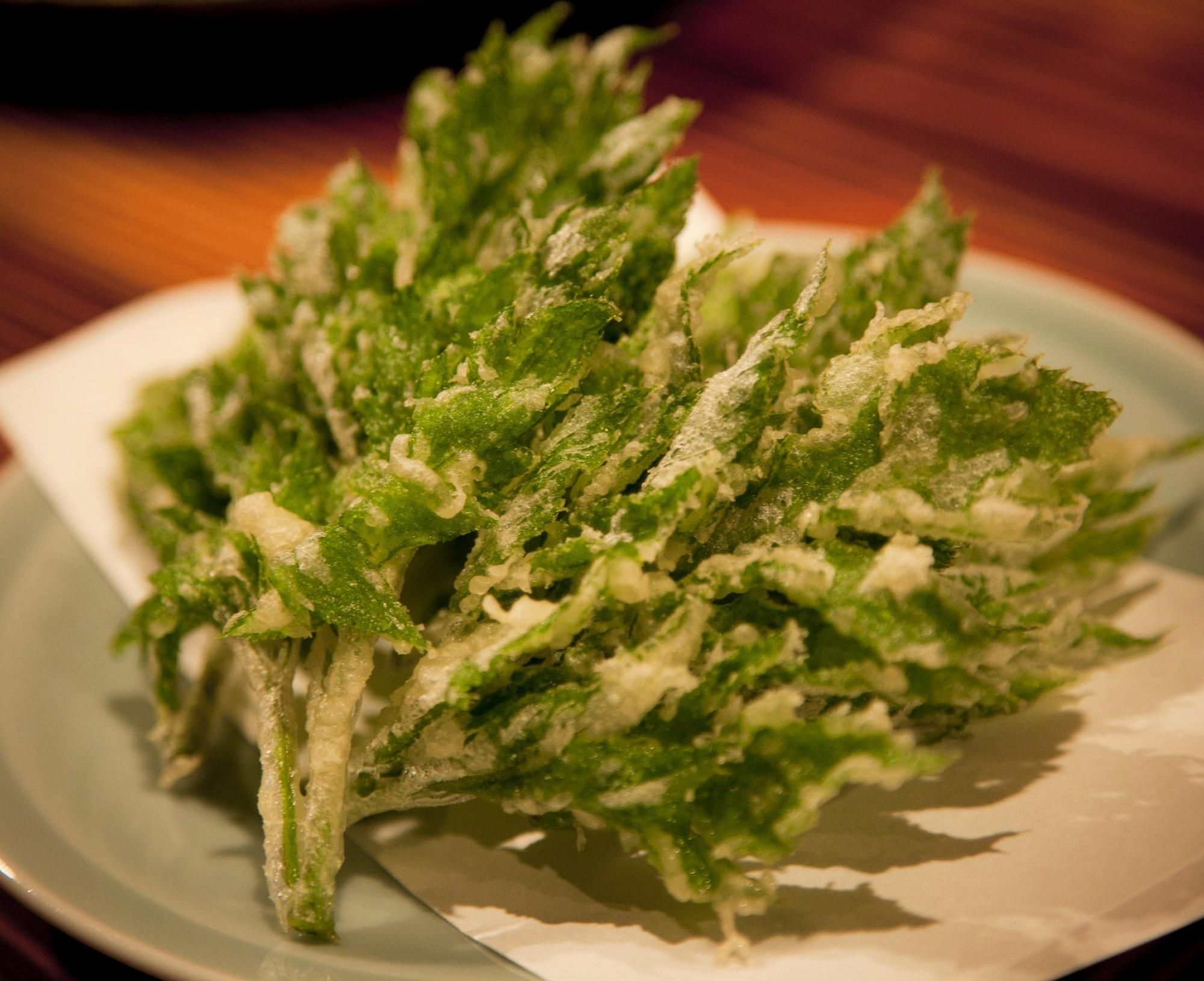 明日葉（八丈草）の抜き苗 販売期間： 3～8月 - マルシェ青空