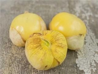 専用出品です　食用ほおずき　トマティーヨ　5kg w-tomatillo.jpg