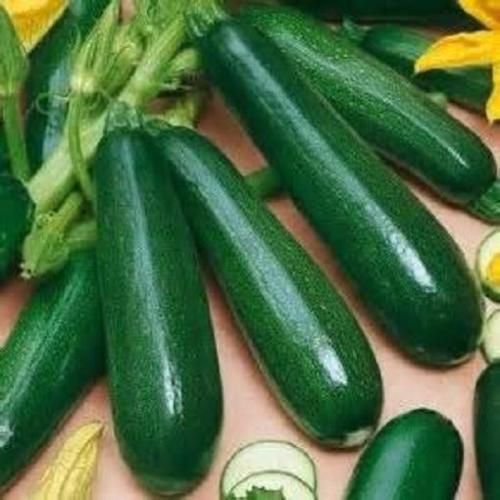 ズッキーニミックスの種 - マルシェ青空