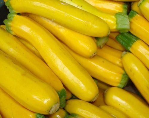 ズッキーニミックスの種 - マルシェ青空