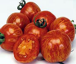 レッドゼブラトマトの種