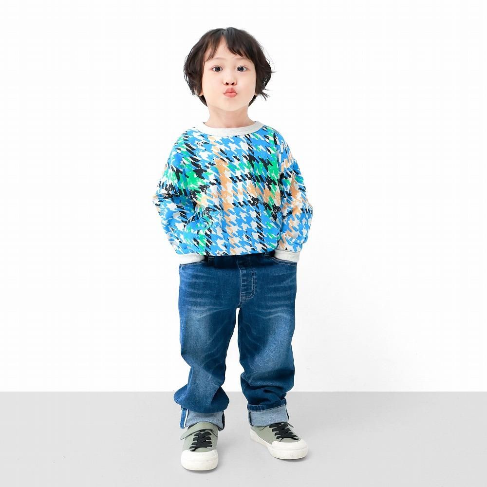 C1313ǥ̿(֥롼)_(ξݥå)