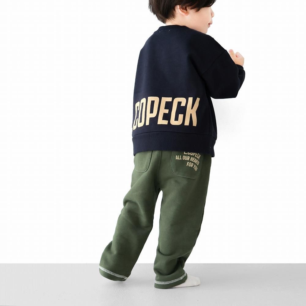 C2060ǥ̿(ͥӡ)_ʤʤ