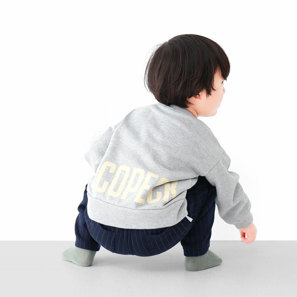 C2060ǥ̿(ݥ졼)_(㤬ݡ)