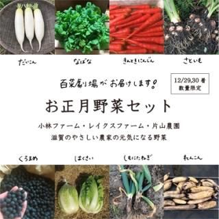 12/29,30ۤڥå