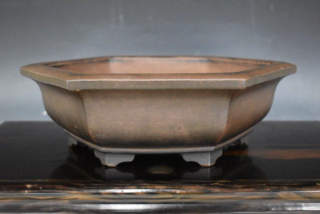 大昭渡り広東鉢 ③ 盆栽鉢 盆栽 大昭渡り広東鉢 盆栽 盆栽鉢