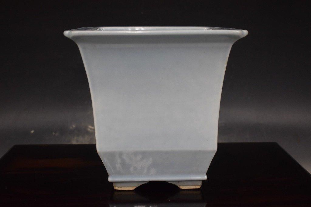 盆栽 鉢 中国 古渡 朱泥楕円形胴紐 幅44.3cm 鉢内の商品一覧 | 雨竹亭