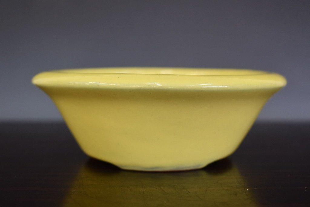 壱興　盆栽鉢　長方 現代小鉢：壱興 長方隅切鉢 19.5cm【現】 | すべての商品