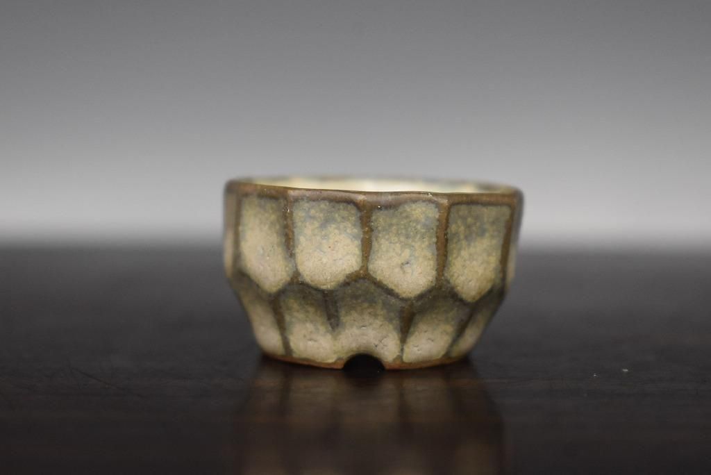 no.537-15 ڲ&#31198;