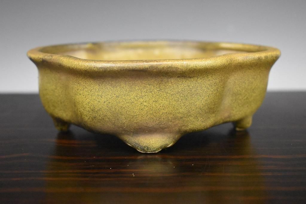 no.538-03 &#31198;ڱ