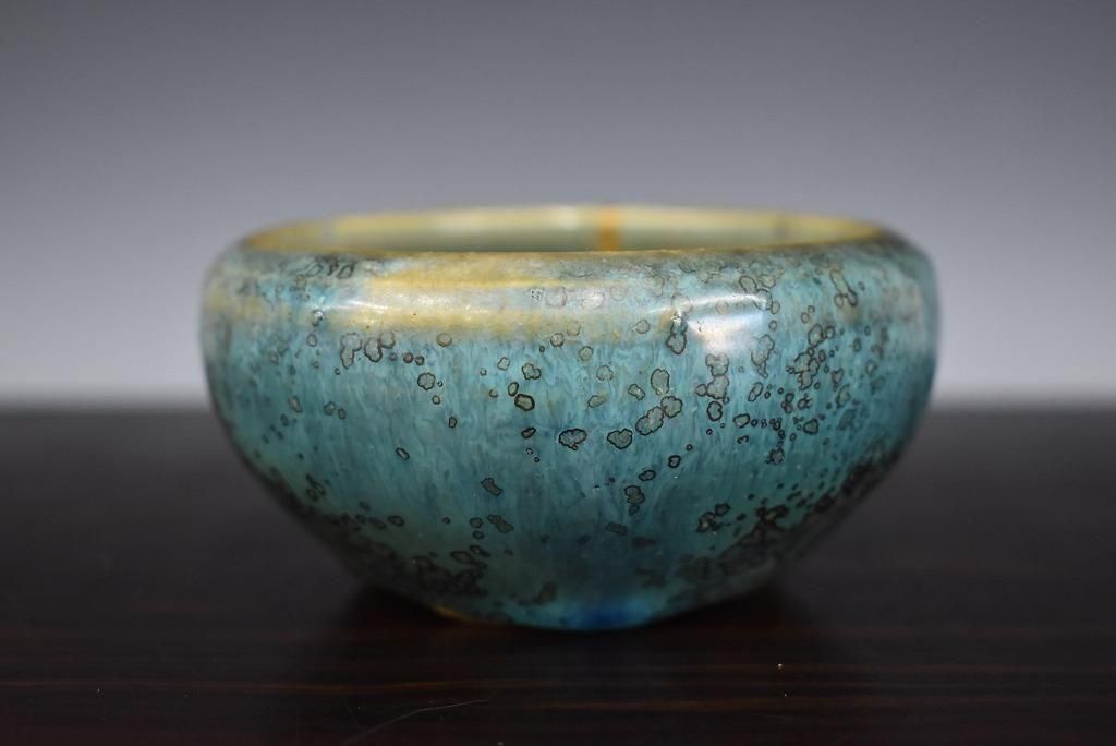 特大　桜陶　落款　緑釉　楕円　盆栽鉢 盆栽：桜・藤寄せ植え*陶器鉢* (2025年開花終了) さくらふじ誕生