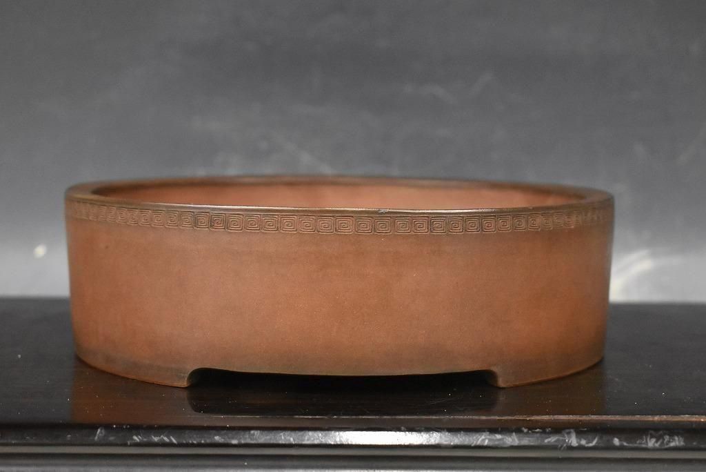 no.229-04 ť