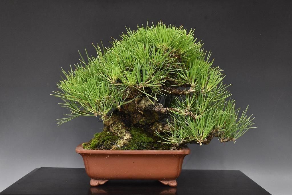 188615342.jpg?cmsp_timestamp=