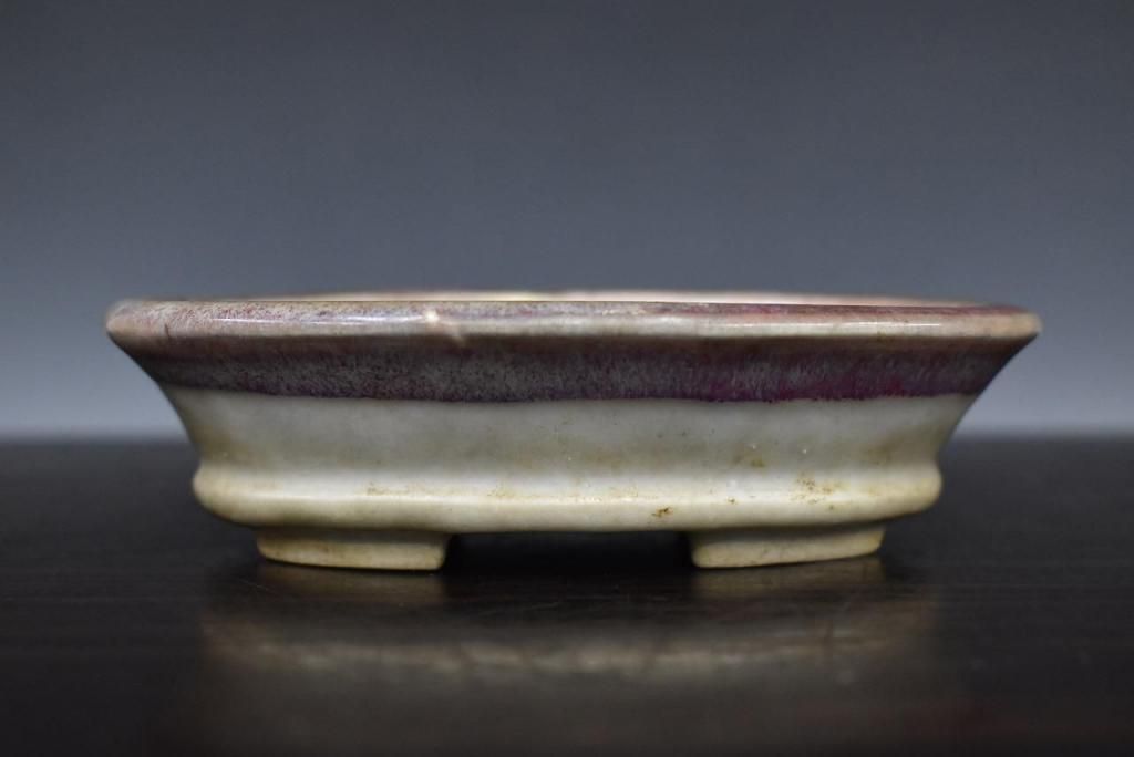 今岡町直 - 萬園