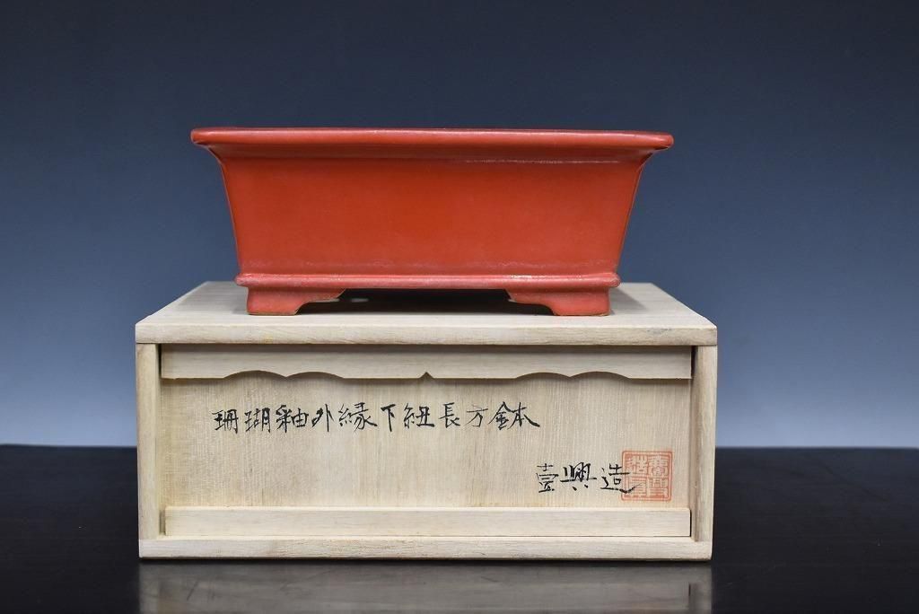 no.546-09 &#31198;Ĺ