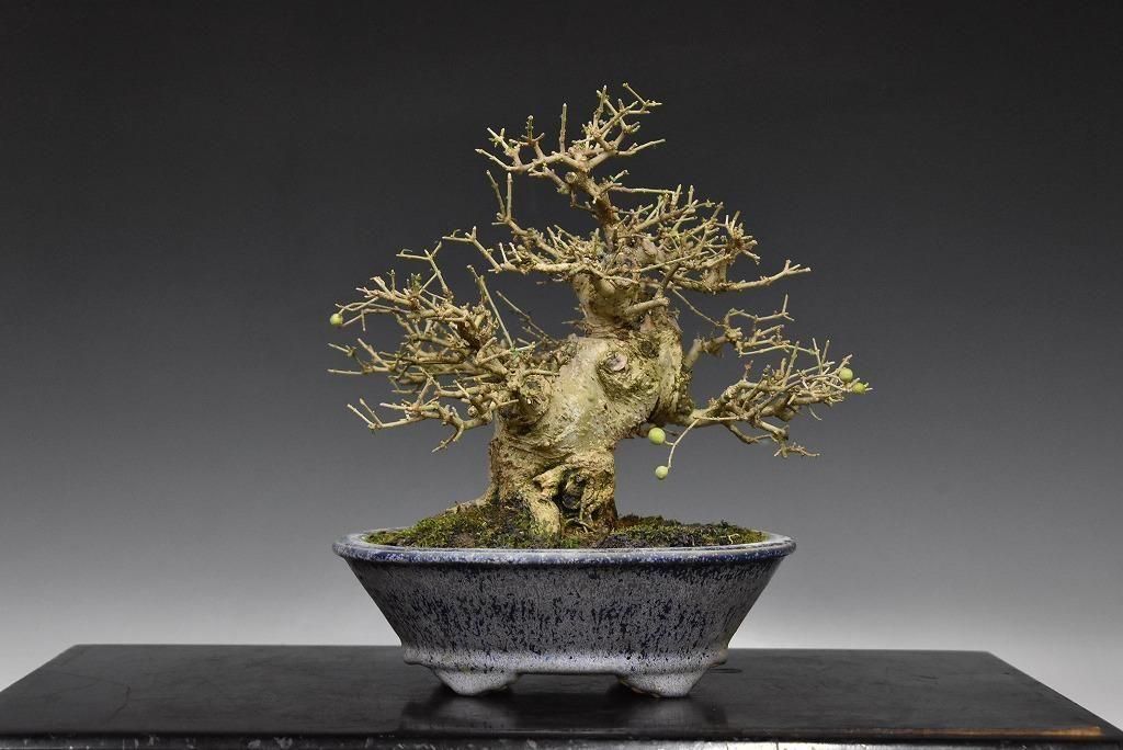 no.524-07 ���ܥ�����¡�