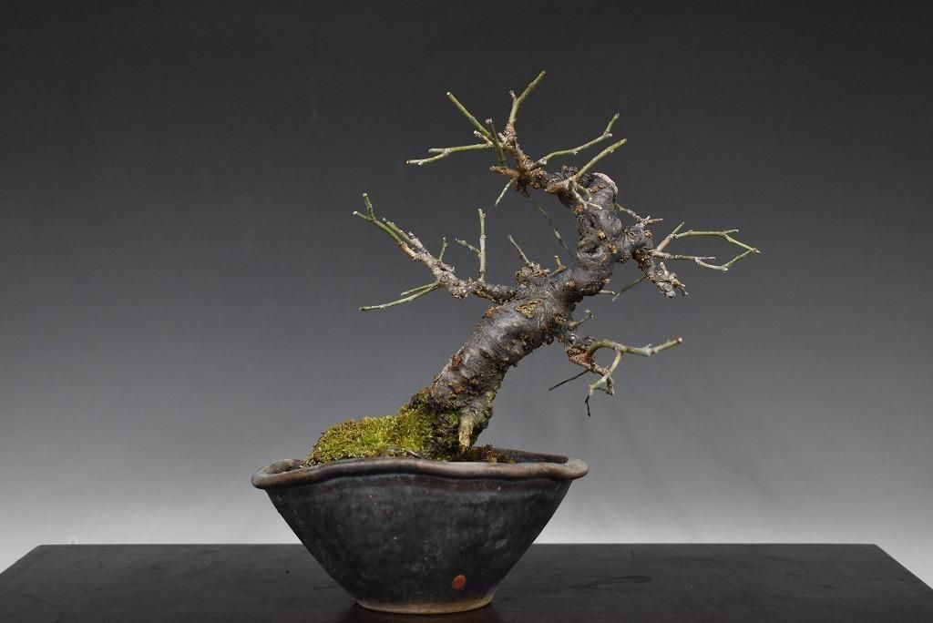 no.524-18 ����