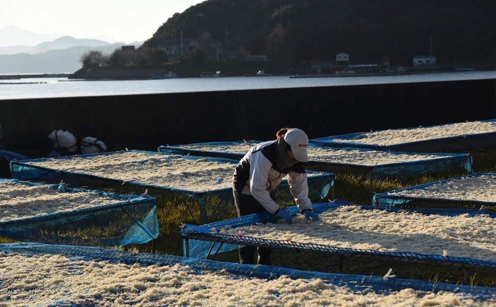 有機天日切り干し大根 - 無茶々園｜ジュース・柑橘・海産物