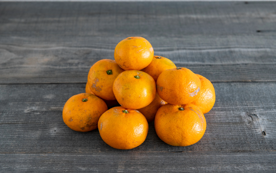 温州みかんの季節です