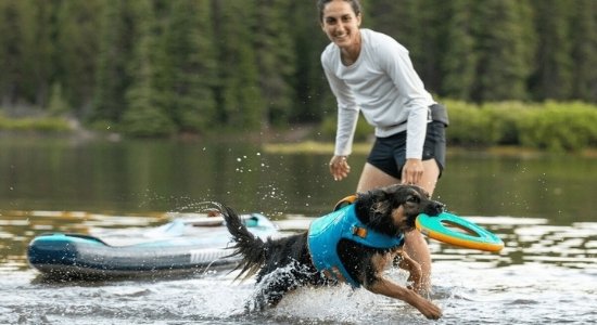 犬と水遊び　フロートコートライフジャケット　ブルー　BLDK