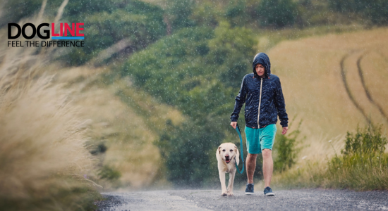 Dogline 雨の日の散歩 中型犬 防水リード ティール