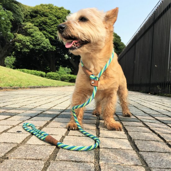 メンドータ　スリップリード　 S サイズ　しつけトレーニング用リード　120cm　小型犬・中型犬　アメリカ製　Mendota