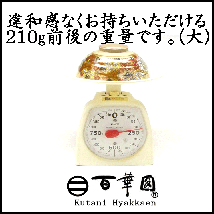 九谷焼飯碗 おもてなしデザイン10