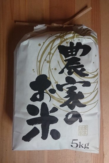 【精米済】令和５年産　コシヒカリ 5kg - 青輝園